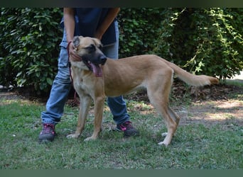 Adhara - Möchte ihre Energie versprühen