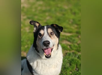 Giangy - Lebens- und Liebesverlängernde Maßnahmen