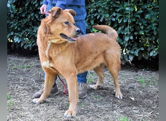 Vivaldo - ...steht vor der falschen Tür