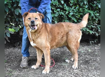 Vivaldo - ...steht vor der falschen Tür