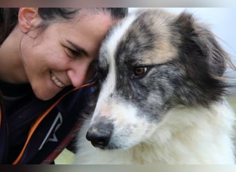 Poncio - wird zum Musterschüler