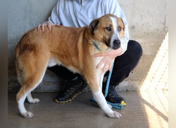 Scotlee - Drei Leben. Drei Chancen.