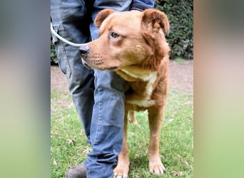 Vivaldo - ...steht vor der falschen Tür