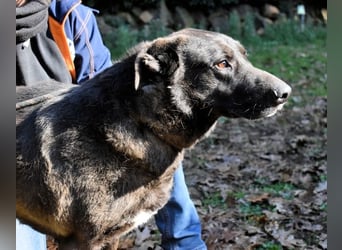 Godfried - When the night has come