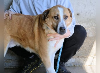 Scotlee - Drei Leben. Drei Chancen.