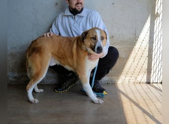 Scotlee - Drei Leben. Drei Chancen.