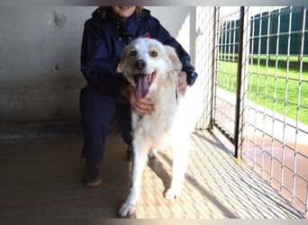 Gualter - und der staubige, unsichtbare Koffer