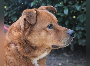 Vivaldo - ...steht vor der falschen Tür