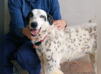 Arleene - ist voll bedingungsloser Liebe