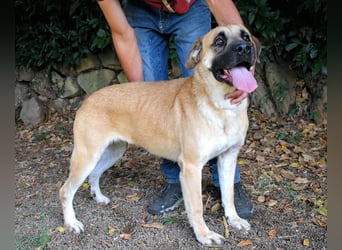 Joonas - wohin führt sein Weg?