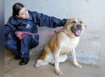 Savery - Drei Leben. Drei Chancen.