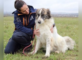 Poncio - wird zum Musterschüler