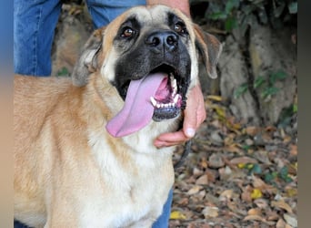 Joonas - wohin führt sein Weg?