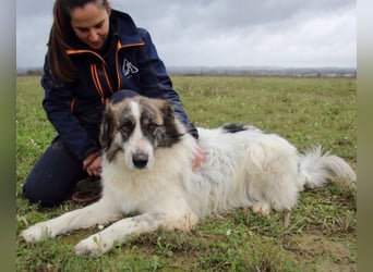 Poncio - wird zum Musterschüler
