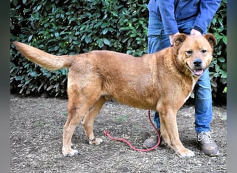 Vivaldo - ...steht vor der falschen Tür