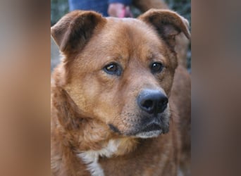 Vivaldo - ...steht vor der falschen Tür