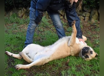 Joonas - wohin führt sein Weg?