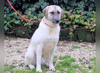 Skitter - Im gedimmten Licht, vor einer geschlossenen Tür