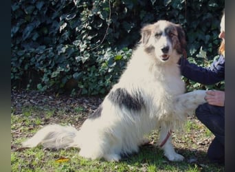Poncio - wird zum Musterschüler