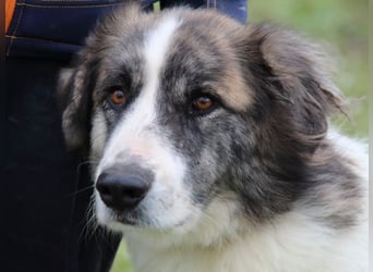 Poncio - wird zum Musterschüler