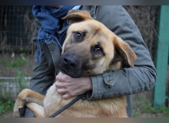 Anthaniel - Groß genug für "Wow" - zu charmant für "Weiter".