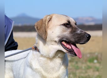 Skitter - Im gedimmten Licht, vor einer geschlossenen Tür