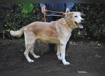 Islay - Menschenherzen-im-Sturm-Eroberer