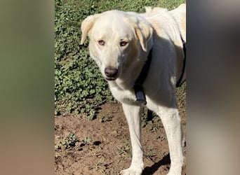 Clara - geht ihren Weg weiter