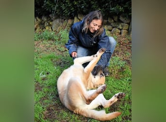 Joonas - wohin führt sein Weg?