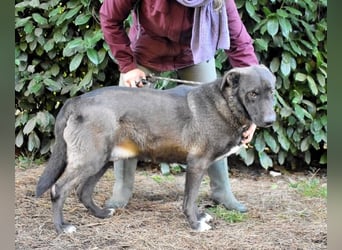 Godfried - When the night has come