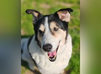 Giangy - Lebens- und Liebesverlängernde Maßnahmen