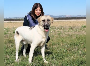 Skitter - Im gedimmten Licht, vor einer geschlossenen Tür