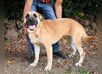 Joonas - wohin führt sein Weg?