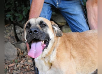 Joonas - wohin führt sein Weg?