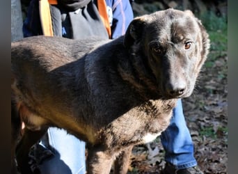 Godfried - When the night has come