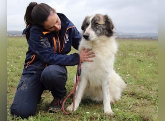 Poncio - wird zum Musterschüler