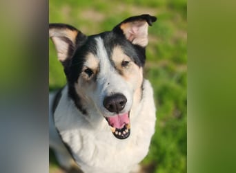 Giangy - Lebens- und Liebesverlängernde Maßnahmen