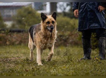 Chiku: Entspannt, entspannter, Chiku! Chiku: Entspannt, entspannter, Chiku!