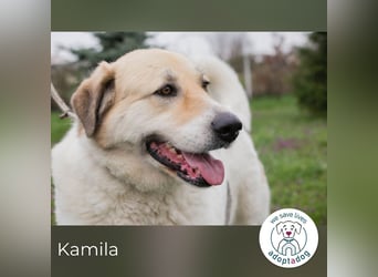 Kamila: Ruhige, liebe Seele