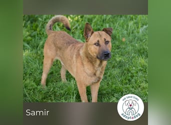 Samir sucht ein Zuhause
