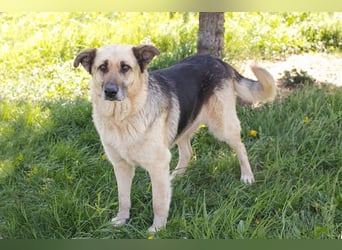 Chiku: Entspannt, entspannter, Chiku!