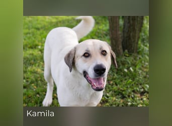 Kamila: Ruhige, liebe Seele