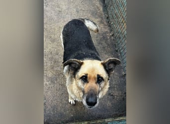 Chiku: Entspannt, entspannter, Chiku! Chiku: Entspannt, entspannter, Chiku!