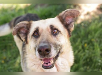 Chiku: Entspannt, entspannter, Chiku!