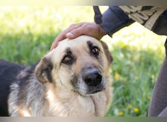 Chiku: Entspannt, entspannter, Chiku! Chiku: Entspannt, entspannter, Chiku!