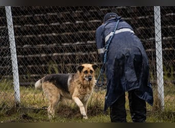 Chiku: Entspannt, entspannter, Chiku! Chiku: Entspannt, entspannter, Chiku!