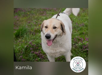 Kamila: Ruhige, liebe Seele