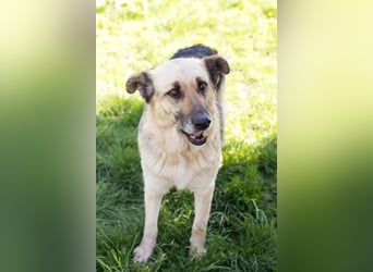 Chiku: Entspannt, entspannter, Chiku!