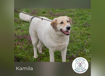 Kamila: Ruhige, liebe Seele