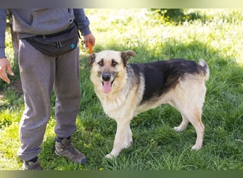 Chiku: Entspannt, entspannter, Chiku! Chiku: Entspannt, entspannter, Chiku!